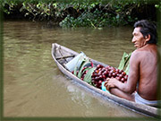 Les Warao Les Warao